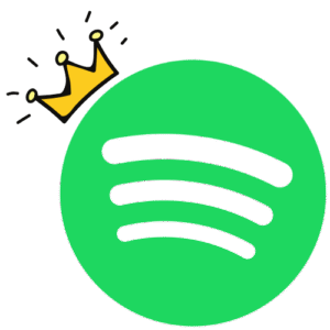 Spotify Premium 3 Month On Mail