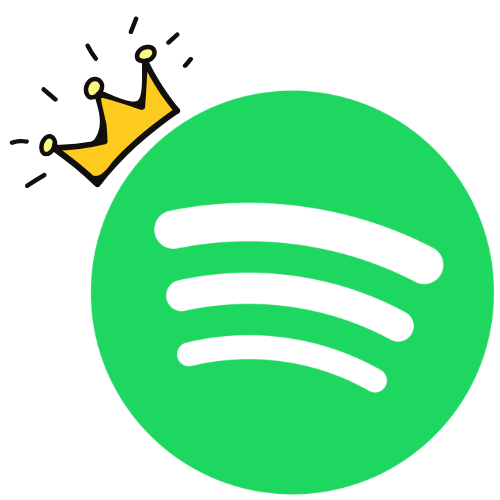 Spotify Premium 3 Month On Mail